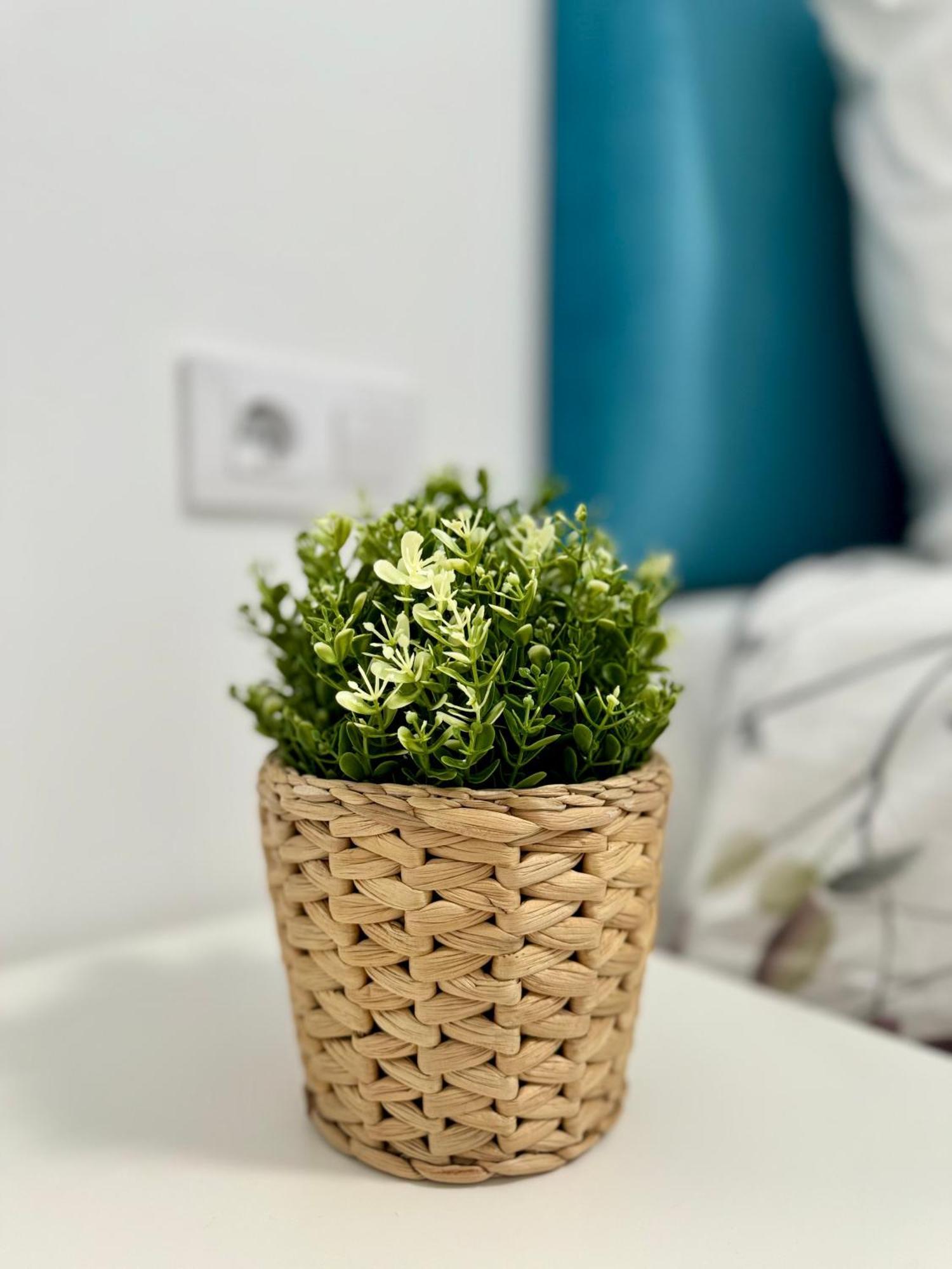 Apartamento Centrico Vigo Kültér fotó